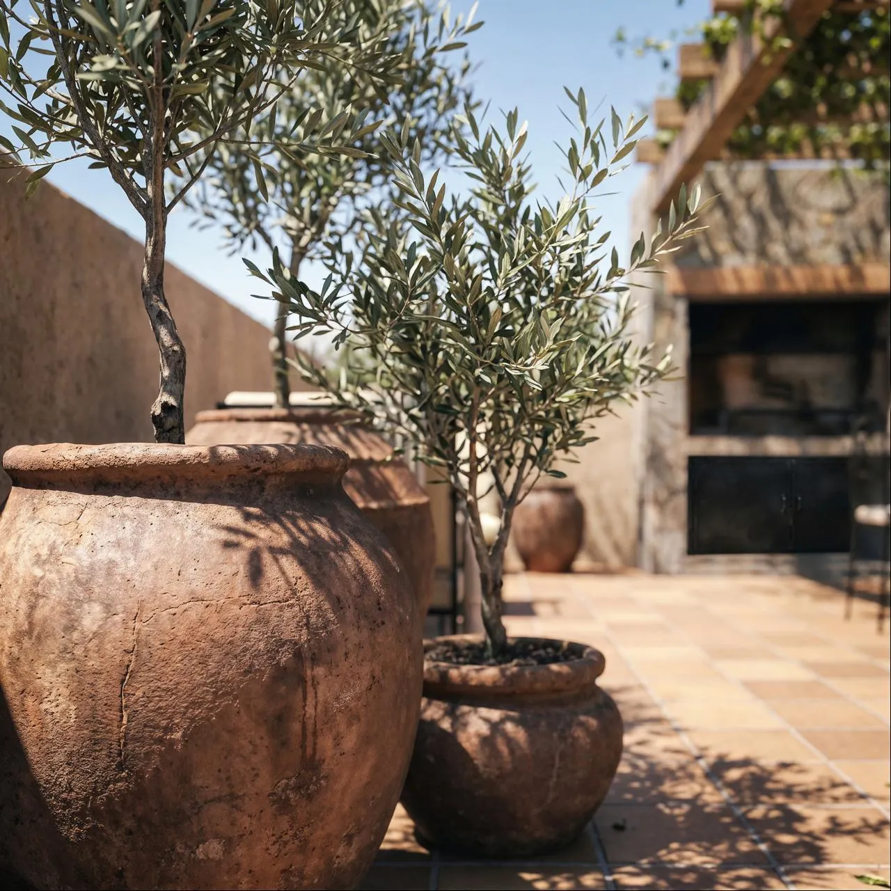 Olivos y ánforas junto al quincho